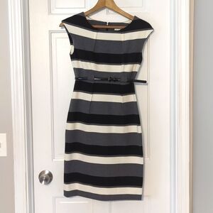 Calvin Klein Professional Dress